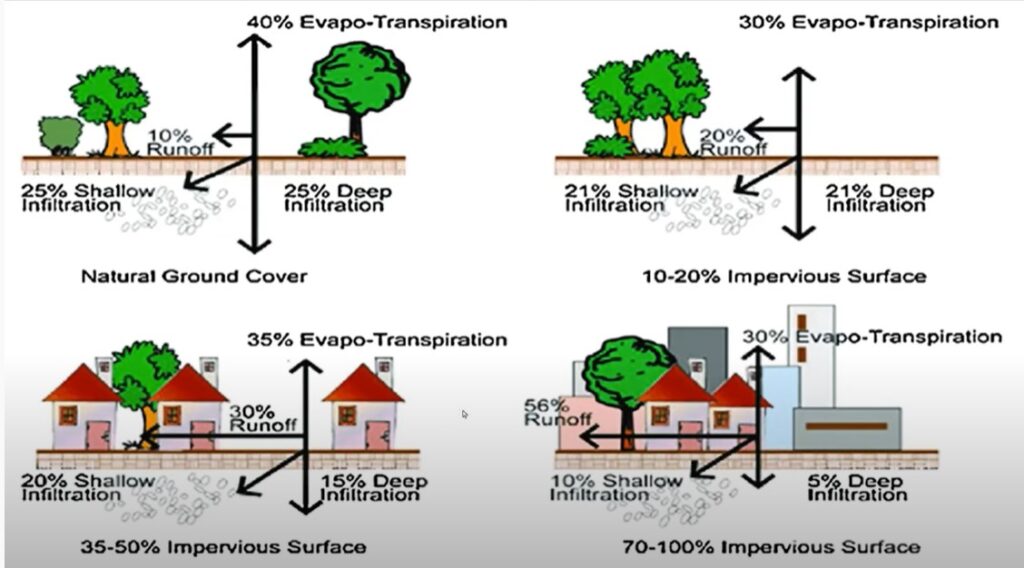 Bronx Council for Environmental Quality » Blog Archive » Combating ...