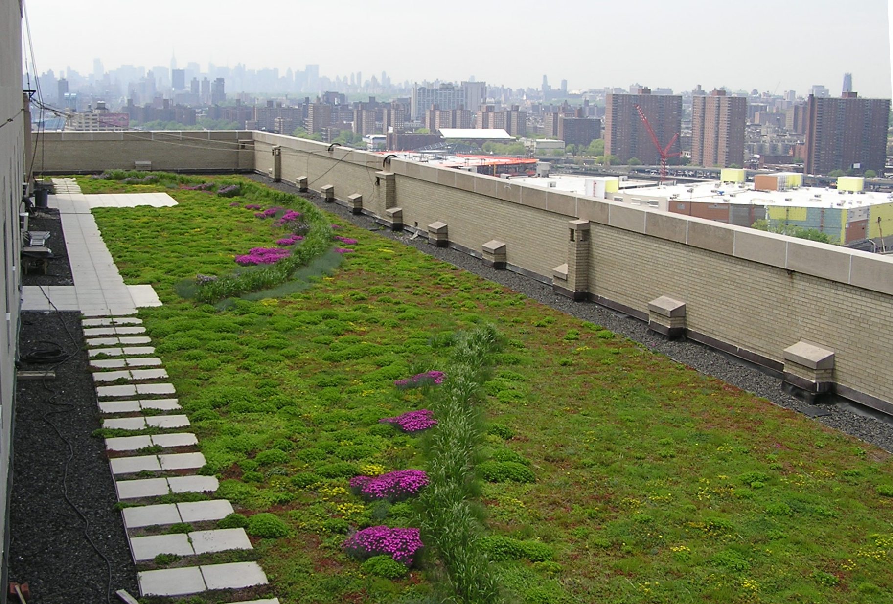 Bronx Council for Environmental Quality » Blog Archive » Bronx County ...